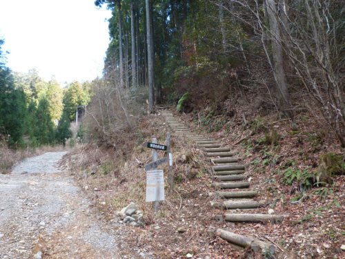 画像28